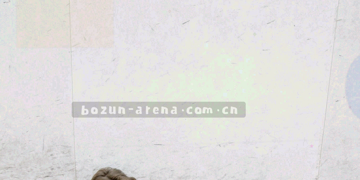 两套刻度圆环并置的抽象图形，示意同一统计字段在不同数据版本下的口径覆盖范围差异